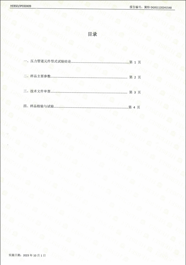 特種設(shè)備型式試驗(yàn)報(bào)告16