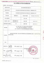 特種設(shè)備型式試驗報告3