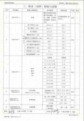 特種設(shè)備型式試驗報告13